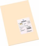 Canson Guarro Confezione da 50 Cartoncini Iris A4 ...