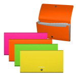 Cartelle portadocumenti Erichkrause Matt Neon - 12...