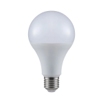 Lampadina LED E27 20W 120LM/W A80 6500K