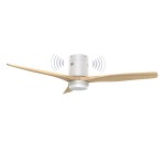 Ventilatore da soffitto con altoparlante e luce En...