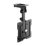 AISENS CT43S-187 Supporto TV a parete 109,2 cm (43...