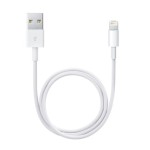 Compra Apple Cavo da lightning a USB 0.5mt Apple Cavo da lightning a USB 0.5mt