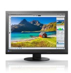 MONITOR EIZO 24" IPS LED 1920X1200 16:10