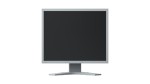 MONITOR EIZO 19" SERIE FLEXSCAN IPS LED GRIGIO