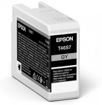 Originale Epson T46S7 Gris Cartucho de Tinta Origi...