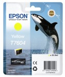 Epson Giallo T7604