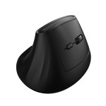 Ewent EW3208 mouse Universale Mano destra RF senza...