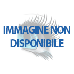 Aggiungi al carrello Mercusys HALO H27BE Dual-band (2.4 GHz/5 GHz) Wi-F... Mercusys HALO H27BE Dual-band (2.4 GHz/5 GHz) Wi-F...