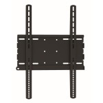 Staffa  Verticale Per Tv 37-70 Load 70Kg 400X600