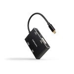 Convertitore nanocavo da USB-C/M a HDMI/H + DVI/H ...