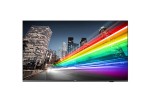 Philpis Monitor Digital Signage 65&#34; B-Line 16:...