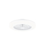 Philips Plafoniera con ventilatore Amigo 42+20 W
