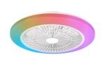 Philips Plafoniera con Ventilatore Amigo, 40 W (lu...
