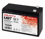 Salicru 013BS000001 batteria UPS Acido piombo (VRL...