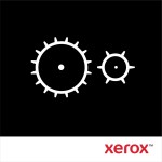 Xerox Phaser 5500/5550 - Kit di manutenzione 220 V...