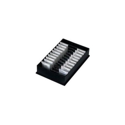 Vetrini microscopio BIOLOGIA 1 L accrescimento e la Riproduzione delle Cellule 10pz