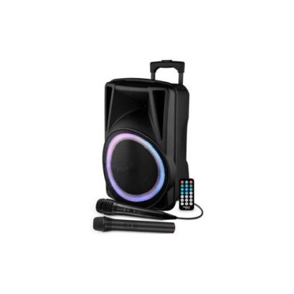 Casse Attive Trolley Karma Festi 12