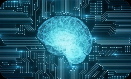 Licenza Eduportal Vr Per Singolo Visore Elettronica (Non Incl Visore