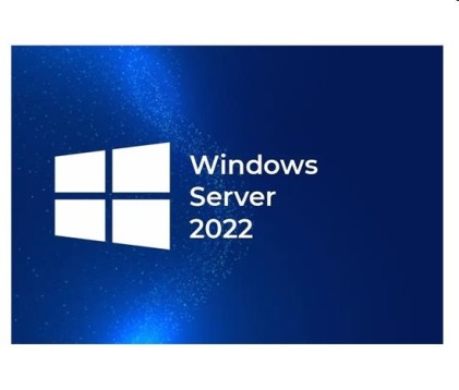 Sw Ms Hpe Win Ser 2022 Essential 25 Cal Rok Inglese