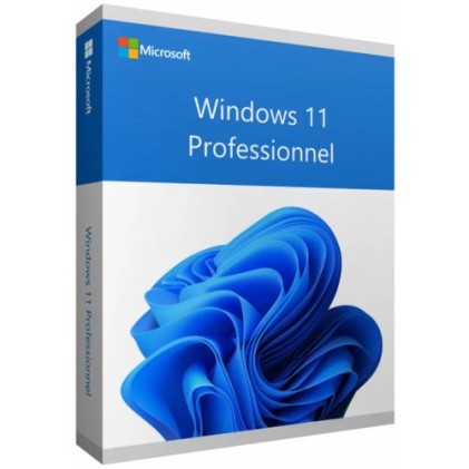 MS Windows 11 Pro 64-Bit 1PK FR