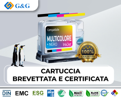 Ink G&G Eps Kit603 603Xl Cmyk 500 Pag(K) 350 Pag(Cmy)