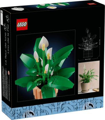 LEGO Botanicals Spatifillo - Idea Regalo Festa della Mamma - Set per Adulti di Piante Artificiali con Vaso - con Fiori Bianchi Finti e Boccioli - Decorazione di Casa o per la Camera da Letto - 11504