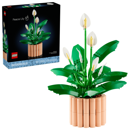 LEGO Botanicals Spatifillo - Idea Regalo Festa della Mamma - Set per Adulti di Piante Artificiali con Vaso - con Fiori Bianchi Finti e Boccioli - Decorazione di Casa o per la Camera da Letto - 11504