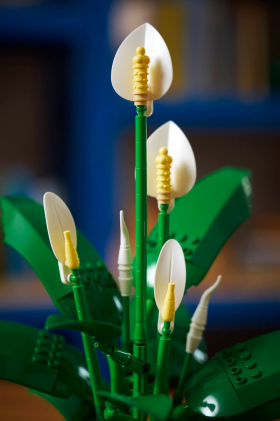 LEGO Botanicals Spatifillo - Idea Regalo Festa della Mamma - Set per Adulti di Piante Artificiali con Vaso - con Fiori Bianchi Finti e Boccioli - Decorazione di Casa o per la Camera da Letto - 11504
