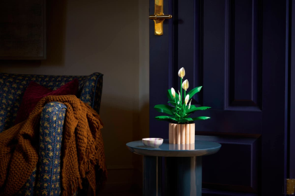 LEGO Botanicals Spatifillo - Idea Regalo Festa della Mamma - Set per Adulti di Piante Artificiali con Vaso - con Fiori Bianchi Finti e Boccioli - Decorazione di Casa o per la Camera da Letto - 11504