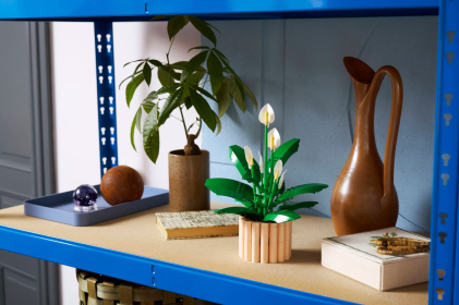 LEGO Botanicals Spatifillo - Idea Regalo Festa della Mamma - Set per Adulti di Piante Artificiali con Vaso - con Fiori Bianchi Finti e Boccioli - Decorazione di Casa o per la Camera da Letto - 11504