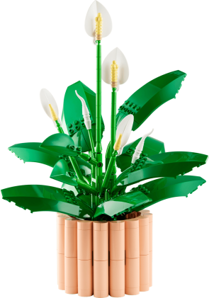 LEGO Botanicals Spatifillo - Idea Regalo Festa della Mamma - Set per Adulti di Piante Artificiali con Vaso - con Fiori Bianchi Finti e Boccioli - Decorazione di Casa o per la Camera da Letto - 11504