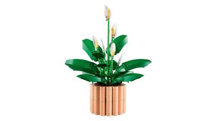 LEGO Botanicals Spatifillo - Idea Regalo Festa della Mamma - Set per Adulti di Piante Artificiali con Vaso - con Fiori Bianchi Finti e Boccioli - Decorazione di Casa o per la Camera da Letto - 11504