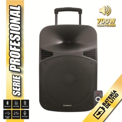 Altoparlante Bluetooth Coolsound Pro Series 15" Potenza massima 700 W con batteria - USB, ingresso microfono jack da 6,3 mm - Maniglia e rotelle per il trasporto - Telecomando