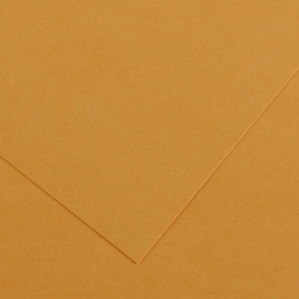 Canson Guarro Confezione da 25 Carte Iris da 185g - 50x65cm - Colore Cuoio