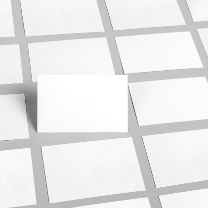 Biglietti da visita Apli bordi dritti opachi 250 g 50 fogli