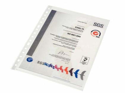 Custodia portadocumenti Esselte Folio - PP Qualità standard multiforo-16 - Borsa 10 - Trasparente