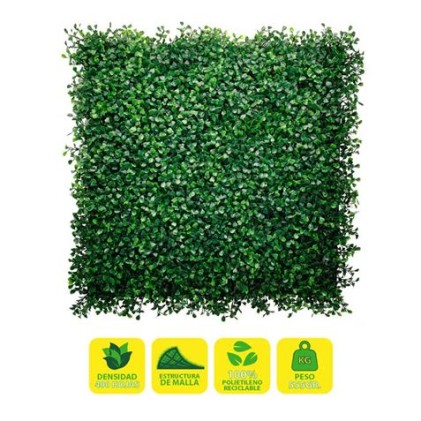 Giardino verticale Sungarden Serie Floraria 50x50cm - Colore verde