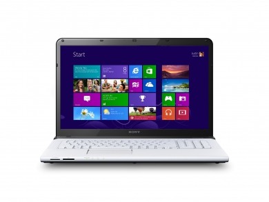 Sony Vaio SVE1713S1E