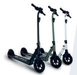 Monopattino Velociptor Pro 10" Amm Anter. 350W Freno Disco Disp. Color