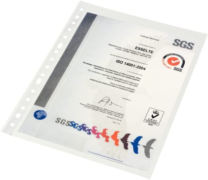 Esselte Confezione da 100 buste portadocumenti multiforo - Formato Folio - 16 fori - 80 micron colore trasparente