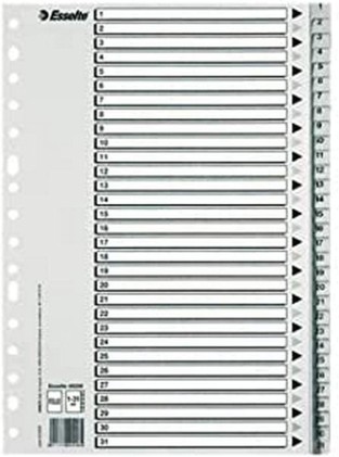 Esselte Busta da 25 Indici Numerici in Plastica - Schede da 1 a 31 - Multiforo - Formato A4 - Colore Grigio