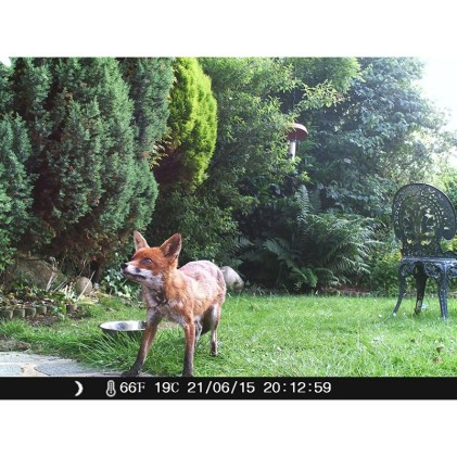 Telecamera Infrarossi Fototrappola Con PIR LKM Security Con Risoluzione A 12 Megapixel