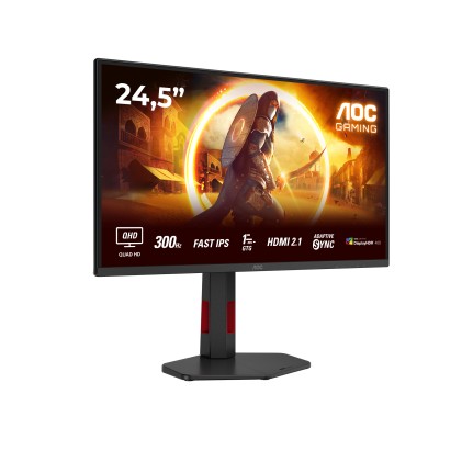 Mon 24.5Ips Qhd 300Hz 1Ms 1Hdmi Aoc Q25G4Sr Pivor Regola. Mm