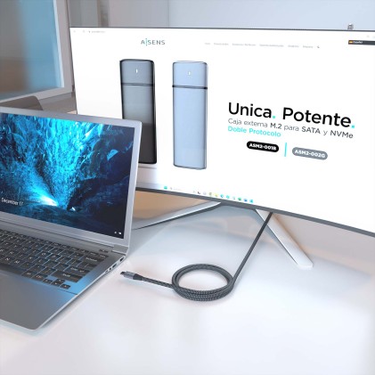 AISENS A107-0875 cavo USB USB 3.2 Gen 2x2 3 m USB C Grigio