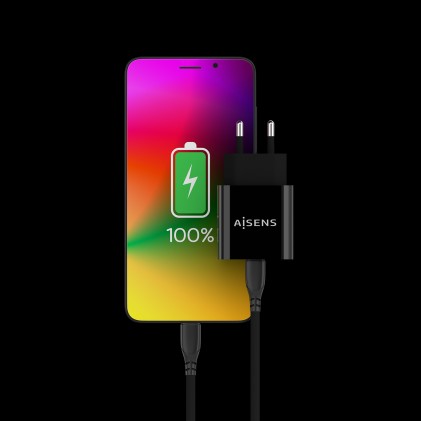AISENS A110-0538 Caricabatterie per dispositivi mobili Nero Interno