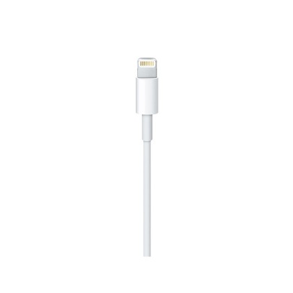 Apple Cavo Lightning To Usb-C Cable (2 M)