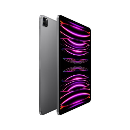 Apple 12.9 Inch Ipad Pro Wifi Cellular 256Gb Space Grey