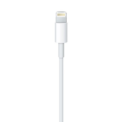 Apple Cavo Lightning Usb 1Mt Bianco Blister