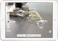 Tablet Apple iPad 32 GB WI-FI