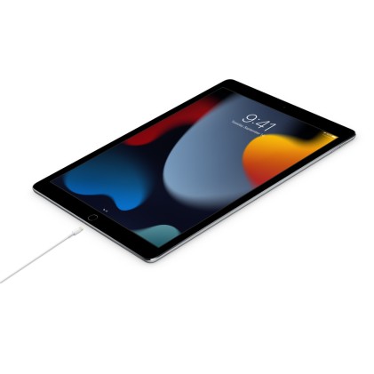 Apple Cavo Usb-C A Lightning (1M) 10/21